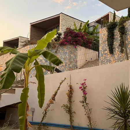 Summer Olea Drimades Villa Himare